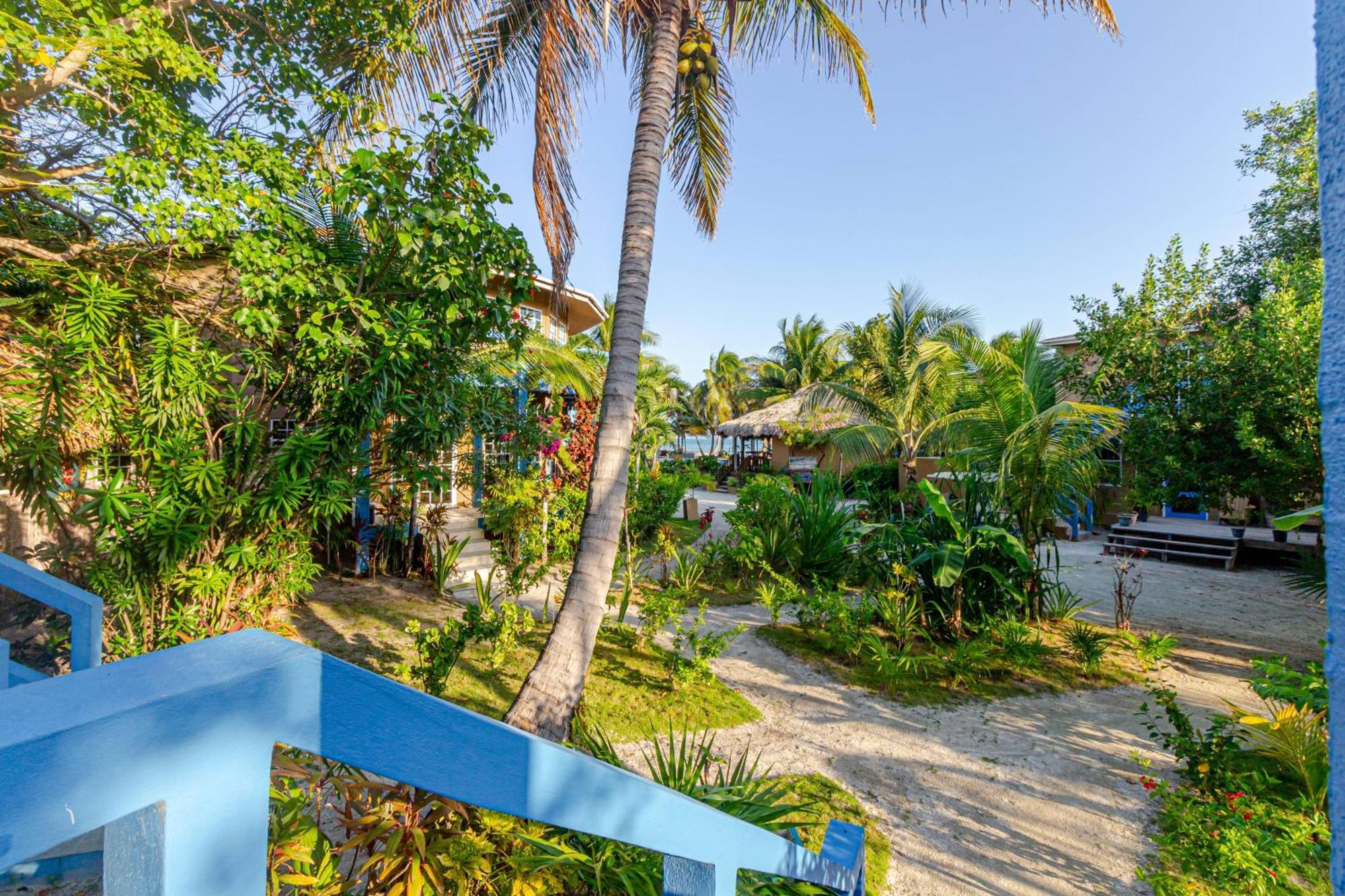White Sands Cove Сан-Педро Номер фото